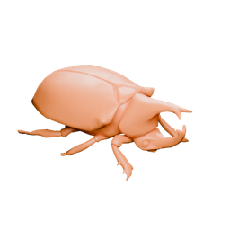 Ambershell beetle — in-game inventory icon