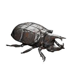 Chitin beetle — in-game inventory icon