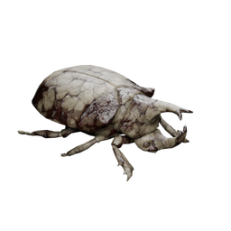 Stonehide beetle — in-game inventory icon