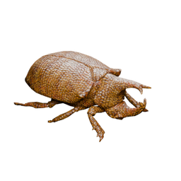 Amberscale beetle — in-game inventory icon