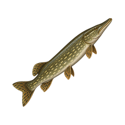 Raw pike — in-game inventory icon