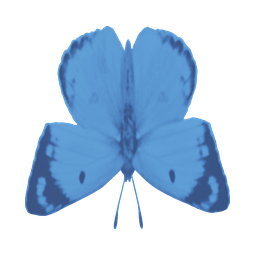 Azureveil moth — in-game inventory icon