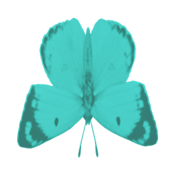 Tideglow moth — in-game inventory icon